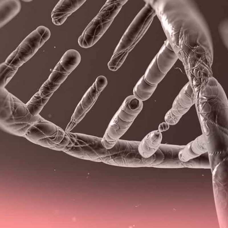 FIV Fecundación In Vitro con PGT